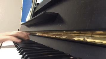 Hamster Decides to Join in Piano Recital