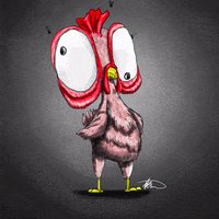 Jahbari_B  GIF