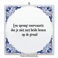 Humor Nl GIF by Tegelspreuken.nl