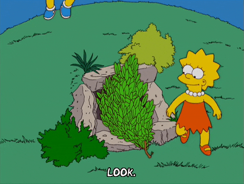 Lisa Simpson Kids GIF by The Simpsons