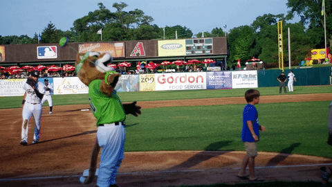 ozzie t cougar mascot race GIF by Kane County Cougars