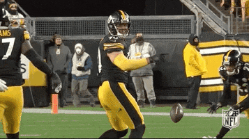 Pittsburgh Steelers Football GIF by NFL