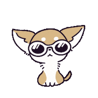Dog Chihuahua Sticker