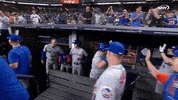 High Five New York Mets GIF by SNY