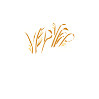 Bird Hand Sticker by Ecostore