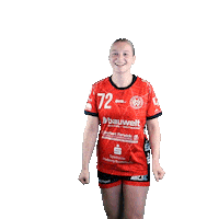 hollenstedt-handball sport handball jubel freude Sticker