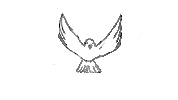 shkhart bird eye flying blink Sticker