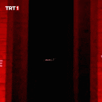 Turkey Turkish GIF by TRT