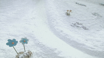 Sliding See Ya GIF by Teletubbies