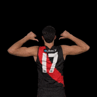 Afl Footy GIF by Essendon FC