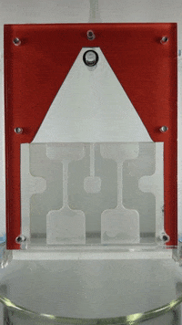 wyss GIF