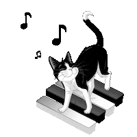 PurinaAdriatic music cat cats piano Sticker