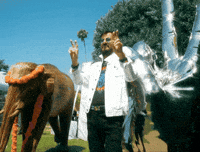 Beverly Hills Birthday GIF by Ringo Peace and Love