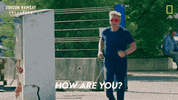 Gordon Ramsay Disney Plus GIF by National Geographic TV