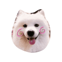 Happy Cute Dog Sticker