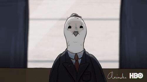 GIF by Animals
