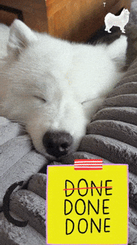 Tired Sleep GIF