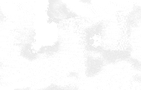 black and white ok GIF by The NGB