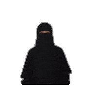 Woman Ninja Sticker by Fynntri