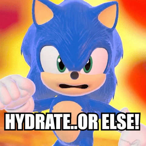 Sonic The Hedgehog Hydrate GIF by Friendly Neighbor Records