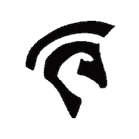 Steedteam Sticker by Steed Fitness