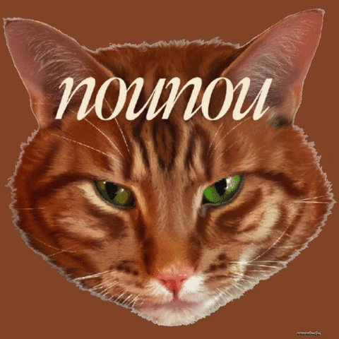 nounoulondon giphygifmaker cat wink winking GIF