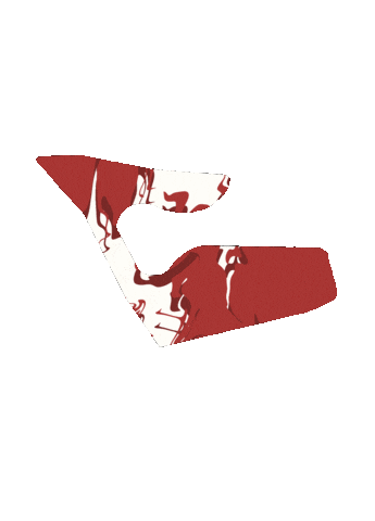 Racing F1 Sticker