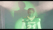 North Dakota State Bison GIF by NDSU Athletics