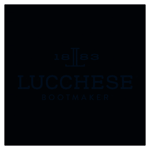 Cowboy Boots GIF by Lucchese Bootmaker