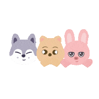 Straykids Skz Sticker