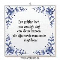 Humor Wijsheid GIF by Tegelspreuken.nl