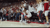 Arkansas Razorbacks Basketball GIF by Hogs+
