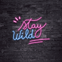Pink Neon GIF