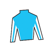 Horse Racing Sticker by Kentucky Derby