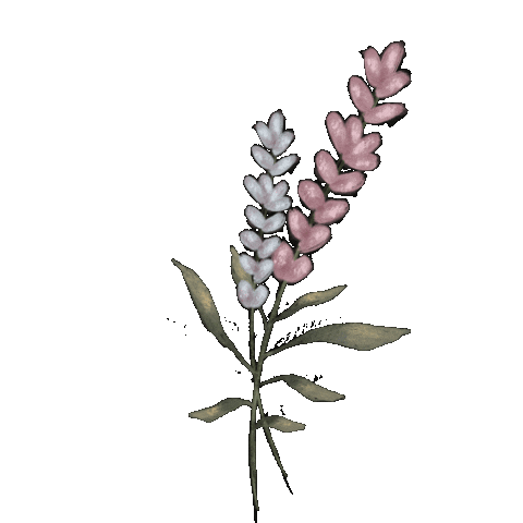 cordemim_ giphyupload flower romantic garden Sticker