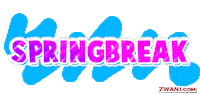 spring break Sticker