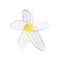 larroude logo flower colette larroude Sticker
