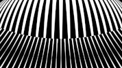 sub pop visualizer GIF by Sub Pop Records