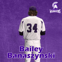 Baseball Warriors GIF by WinonaStateATH