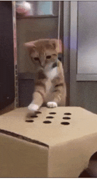 mole GIF