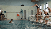 vwu_marlins marlins vwu wethebeach virginiawesleyan GIF
