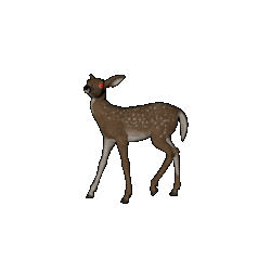bambi Sticker by claudiamate