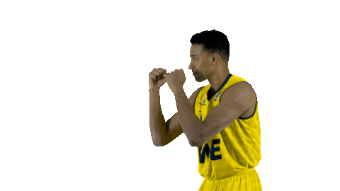 Ewe Baskets Basketball Sticker by EWE Baskets Oldenburg