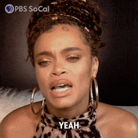 Yeah Right GIF by PBS SoCal