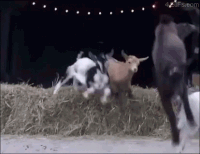 jump running GIF