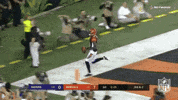 2018 Nfl Football GIF by NFL