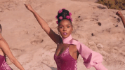 pynk GIF by Janelle Monáe