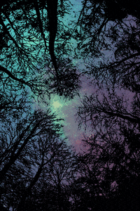 night sky stars GIF