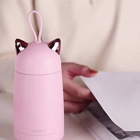 KittyNook giphyupload GIF