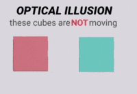 Optical Illusion GIF